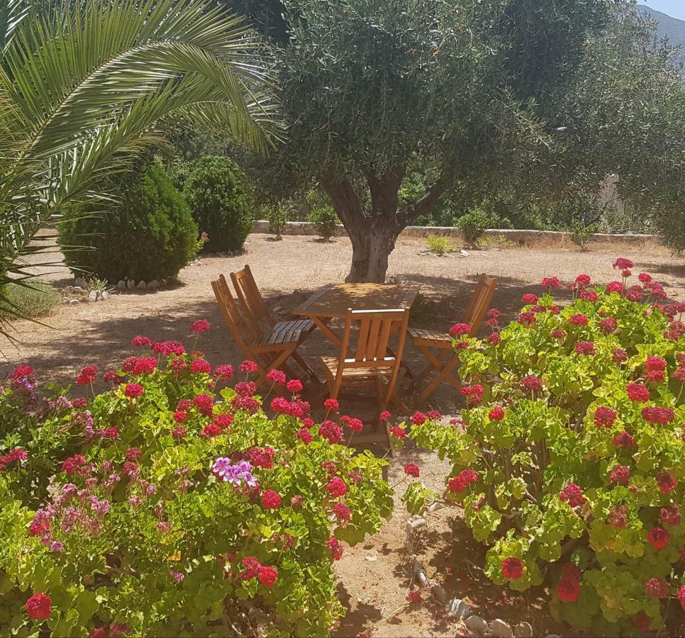 Tilos Fantasy Livadia  Exteriör bild